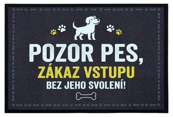Mercury Flooring, Rohožka se psím svolením 40x60 cm - na ven i na doma, 40x60, šedá