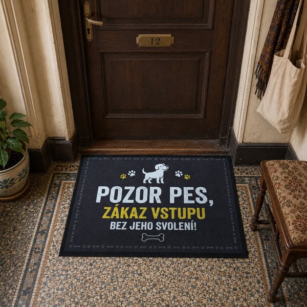 Mercury Flooring, Rohožka se psím svolením 40x60 cm - na ven i na doma, 40x60, šedá