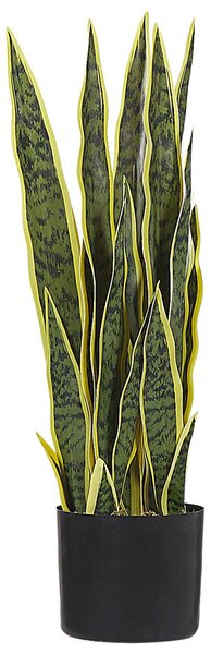 Umělá rostlina SNAKE PLANT 63 cm Zelená