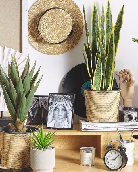 Umělá rostlina SNAKE PLANT 63 cm Zelená