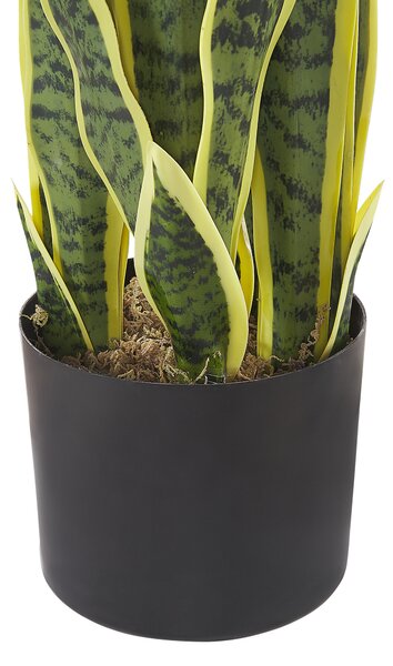 Umělá rostlina SNAKE PLANT 63 cm Zelená