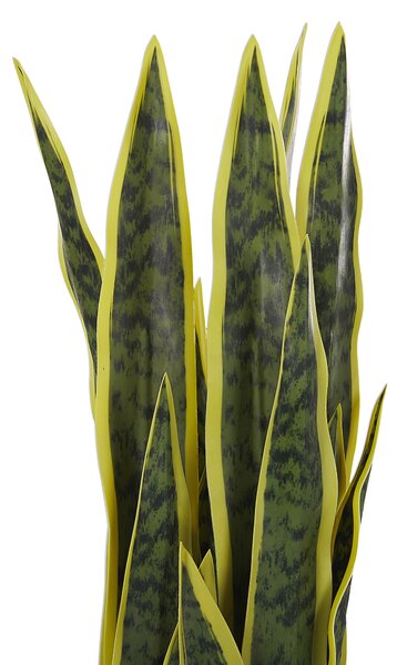 Umělá rostlina SNAKE PLANT 63 cm Zelená