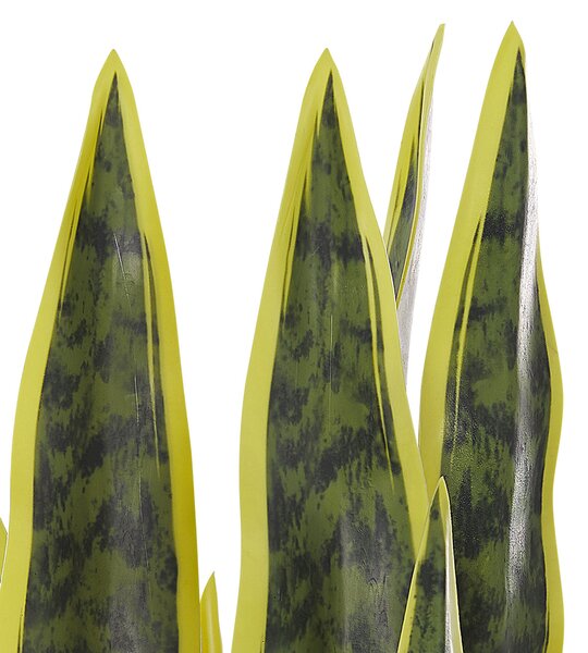 Umělá rostlina SNAKE PLANT 63 cm Zelená