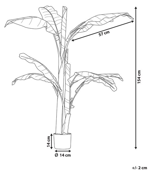 Umělá rostlina MUSA TREE 154 cm Zelená