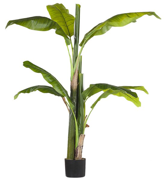 Umělá rostlina MUSA TREE 154 cm Zelená