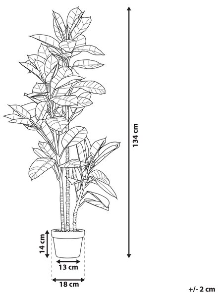 Umělá rostlina FICUS ELASTICA 134 cm Zelená