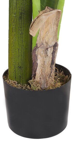 Umělá rostlina MUSA TREE 154 cm Zelená