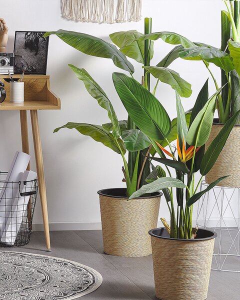 Umělá rostlina STRELITZIA TREE 115 cm Zelená
