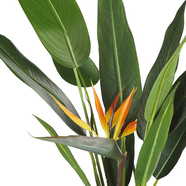 Umělá rostlina STRELITZIA TREE 115 cm Zelená