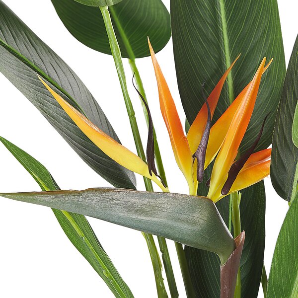 Umělá rostlina STRELITZIA TREE 115 cm Zelená