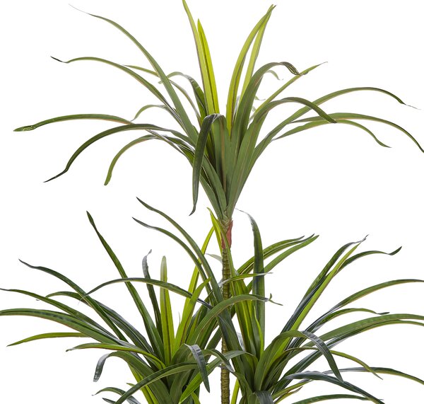 Umělá rostlina DRACAENA ANITA 147 cm Zelená