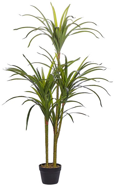 Umělá rostlina DRACAENA ANITA 147 cm Zelená
