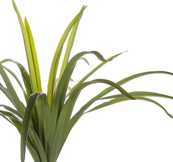 Umělá rostlina DRACAENA ANITA 147 cm Zelená