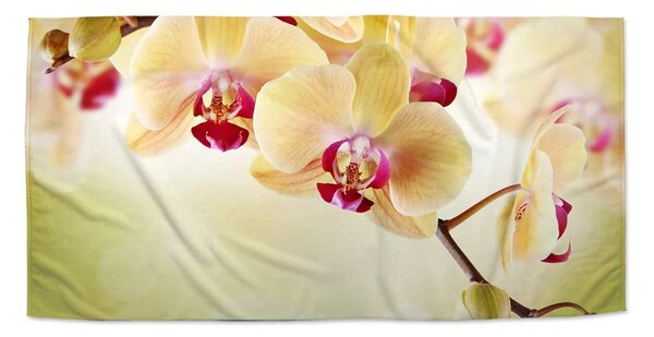 Sablio Ručník Orchidej 2 - 30x50 cm