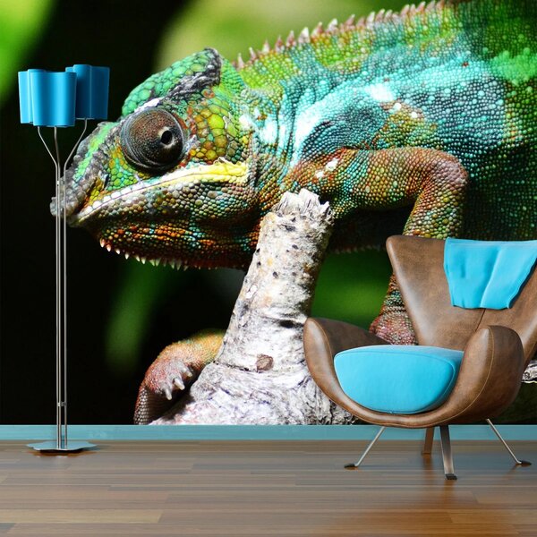 Sablio Tapeta Chameleon - 125x75 cm