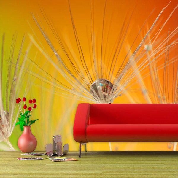 Sablio Tapeta Odkvetlé pampelišky 2 - 125x75 cm