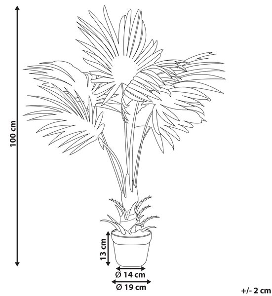 Umělá rostlina FAN PALM 100 cm Zelená