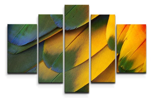 Sablio Obraz - 5-dílný Barevné peří - 125x90 cm