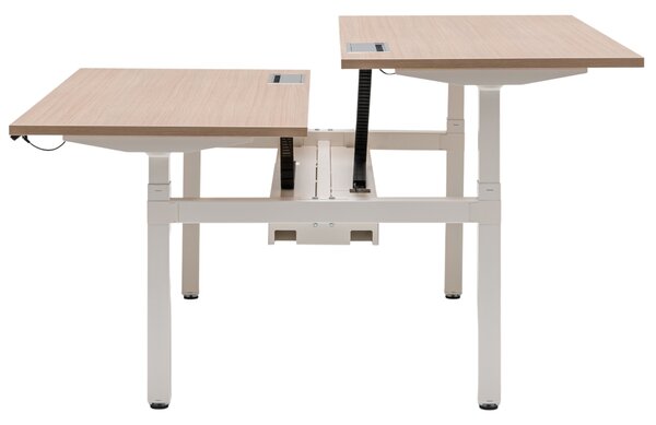 MDD Dubový výškově nastavitelný pracovní stůl Ogi Drive Bench 140 x 169 cm s bílou podnoží