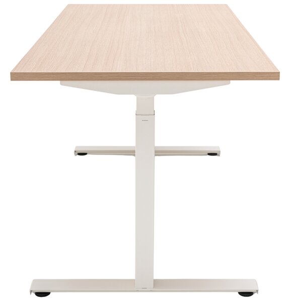 MDD Dubový výškově nastavitelný pracovní stůl Ogi Drive 140 x 70 cm s bílou podnoží