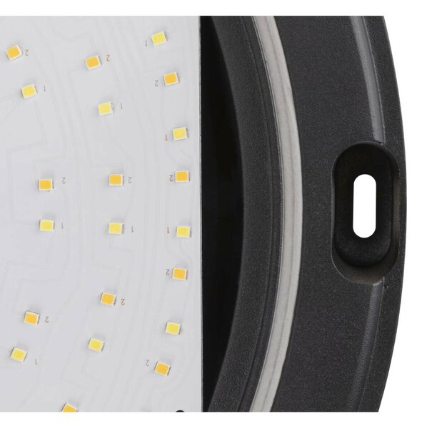 BIG WHITE SLV OUTDOOR BULKHEAD V 360 20W 830/840 IP65 IK10 1007514