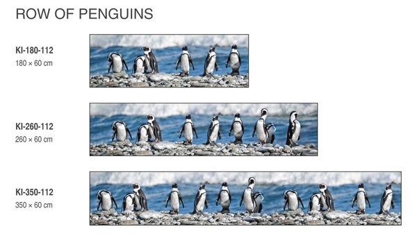 DIMEX | Fototapeta do kuchyně Tučňáci KI-180-112 | 180 x 60 cm | bílá, černá, šedá