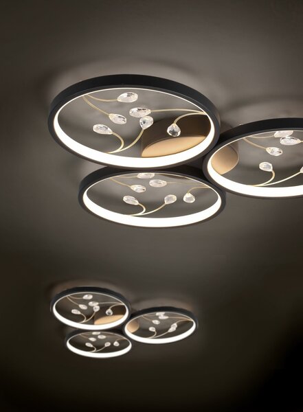 Trio 642110332 LED přisazené stropní svítidlo Groovy 1x30W | 3600lm | 3000K - 3 fázové stmívání, černá
