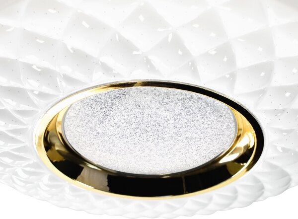 LED Stmívatelné stropní svítidlo TOKYO LED/48W/230V 3000-6000K + DO