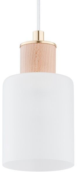 Lustr na lanku EVIC 3xE27/60W/230V
