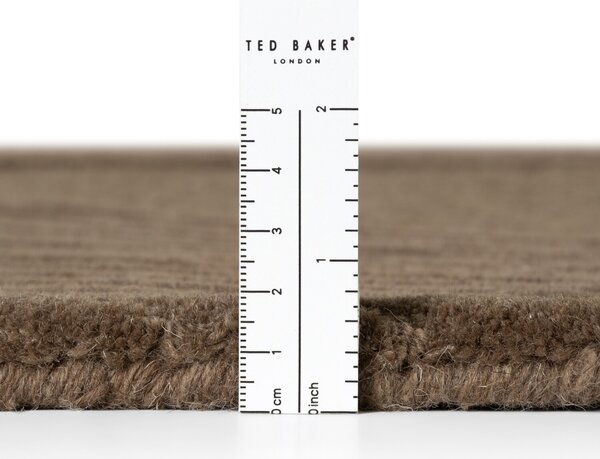 Ted Baker, Kusový koberec Ted Baker Kensington 106401 Braun kruh, 160x160, hnědá, kancelář