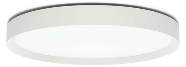 Lombardo Flo T LED přisazené kruhové svítidlo IP20 IK06 800mmZlatá2700K