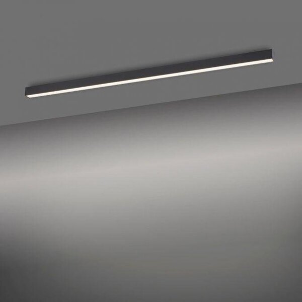 Paul Neuhaus Stropní LED svítidlo PURE-LINES, 18W, d. 110 cm, CCT 2700-5000K Barva: Antracit