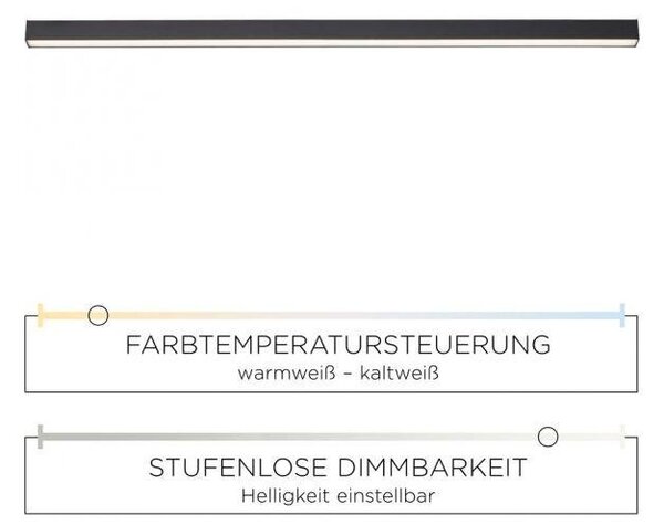 Paul Neuhaus Stropní LED svítidlo PURE-LINES, 18W, d. 110 cm, CCT 2700-5000K Barva: Antracit