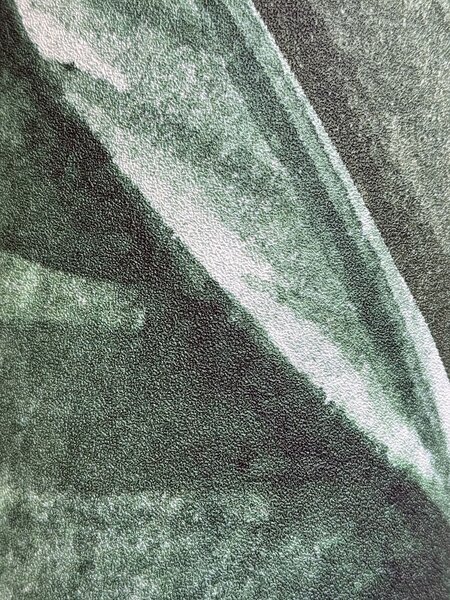 Vliesová fototapeta na zeď, Listy banánovníku, A39501, One roll, one motif 2, Grandeco