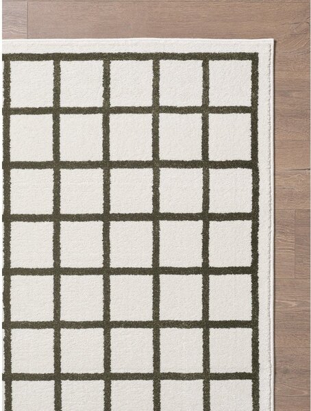 Tmavě zelený/krémový koberec 160x230 cm Picnic – ESTE