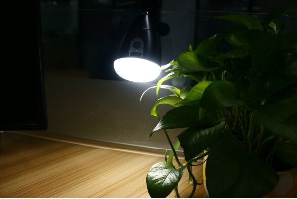 LED Lampička KLIP s USB nabíjením LED/5W/5V 4000K