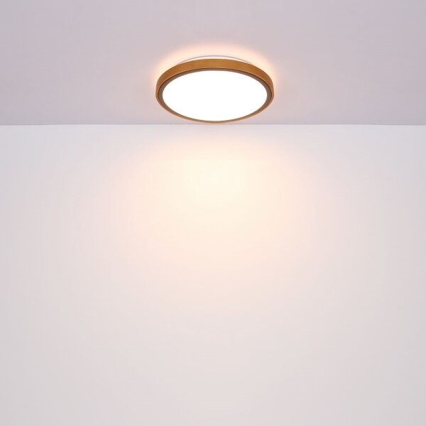 Globo 41764-12 - LED Stropní svítidlo BRUNO LED/12W/230V 307 mm 3000/4500/6000K