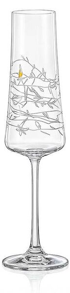 Crystalex Garden sklenice na sekt 210 ml 2 ks