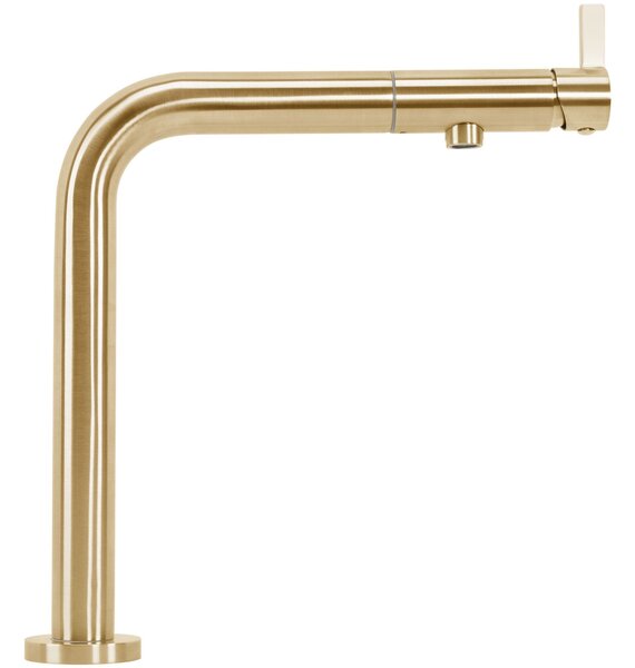 Kuchyňská baterie REA COLE Brush Gold