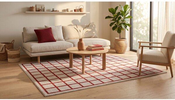 Červený/béžový koberec 160x230 cm Picnic – ESTE