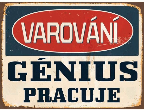 Ceduľa Varování - Génius Pracuje Vintage style 30cm x 20cm Plechová tabuľa