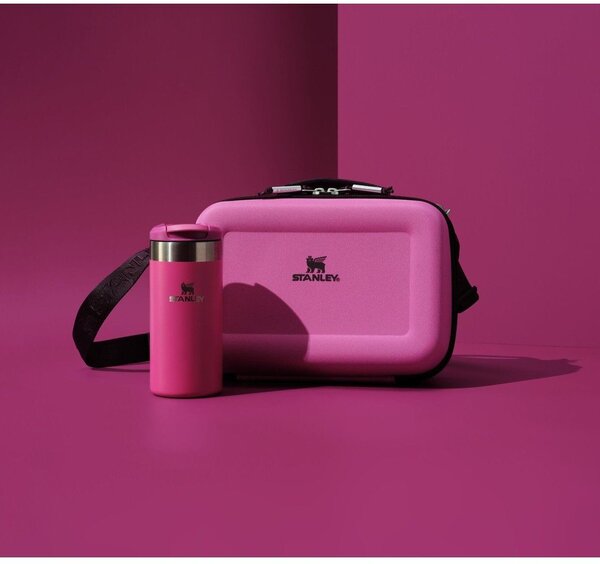 Svačinový box All Day Arista Mini Lunch Box Dew Drop – Stanley