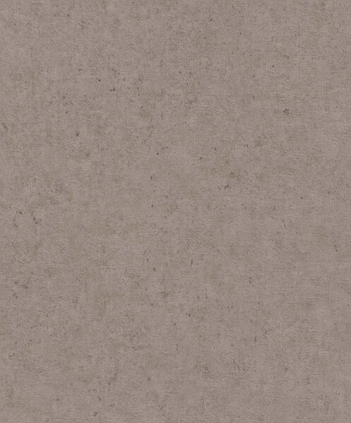 RASCH | Vliesová tapeta na zeď Beltesto 520873 | 0,53 x 10,05 m | béžová, hnědá