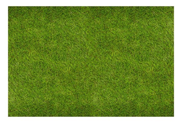 Umělý trávník 30 mm, 2x5 m SPRINGOS GA0261