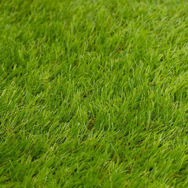 Umělý trávník 30 mm, 2x5 m SPRINGOS GA0261