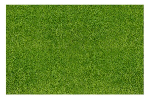 Umělý trávník 32 mm, 2x3 m SPRINGOS GA0262