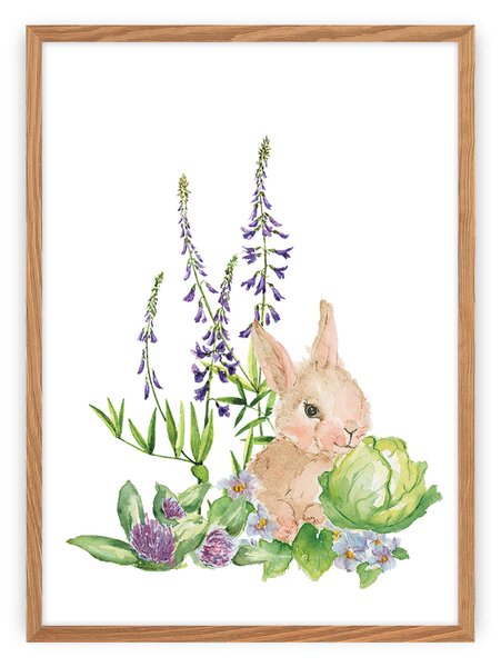 Obrázek Forest Story Hare