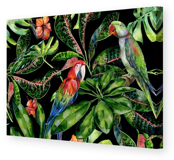 Obraz na płátně Tropical Birds