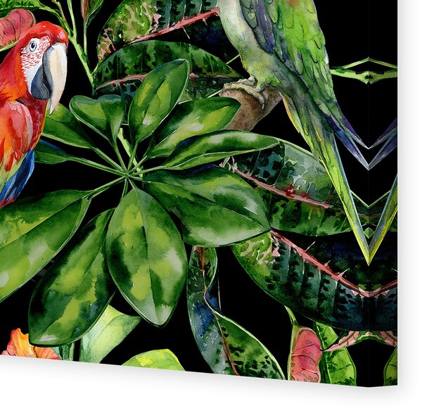 Obraz na płátně Tropical Birds