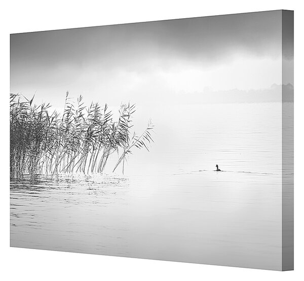 Obraz na plátně By the Lake II